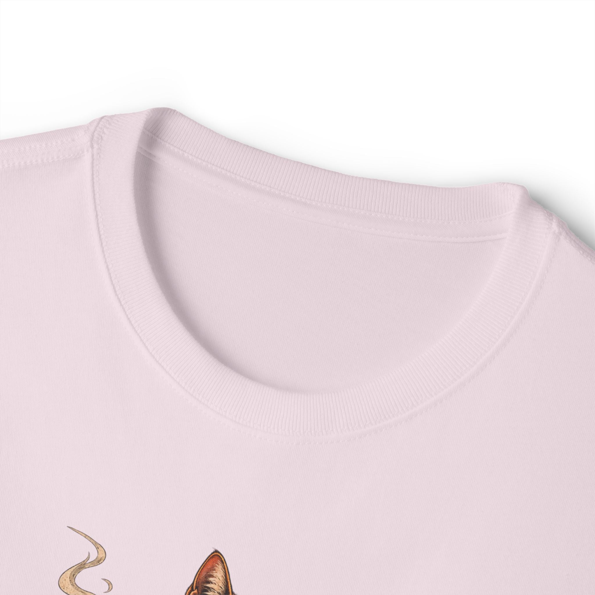 Cat Gangster Tee — Cool Cat Streetwear Oversized Boxy T‑Shirt