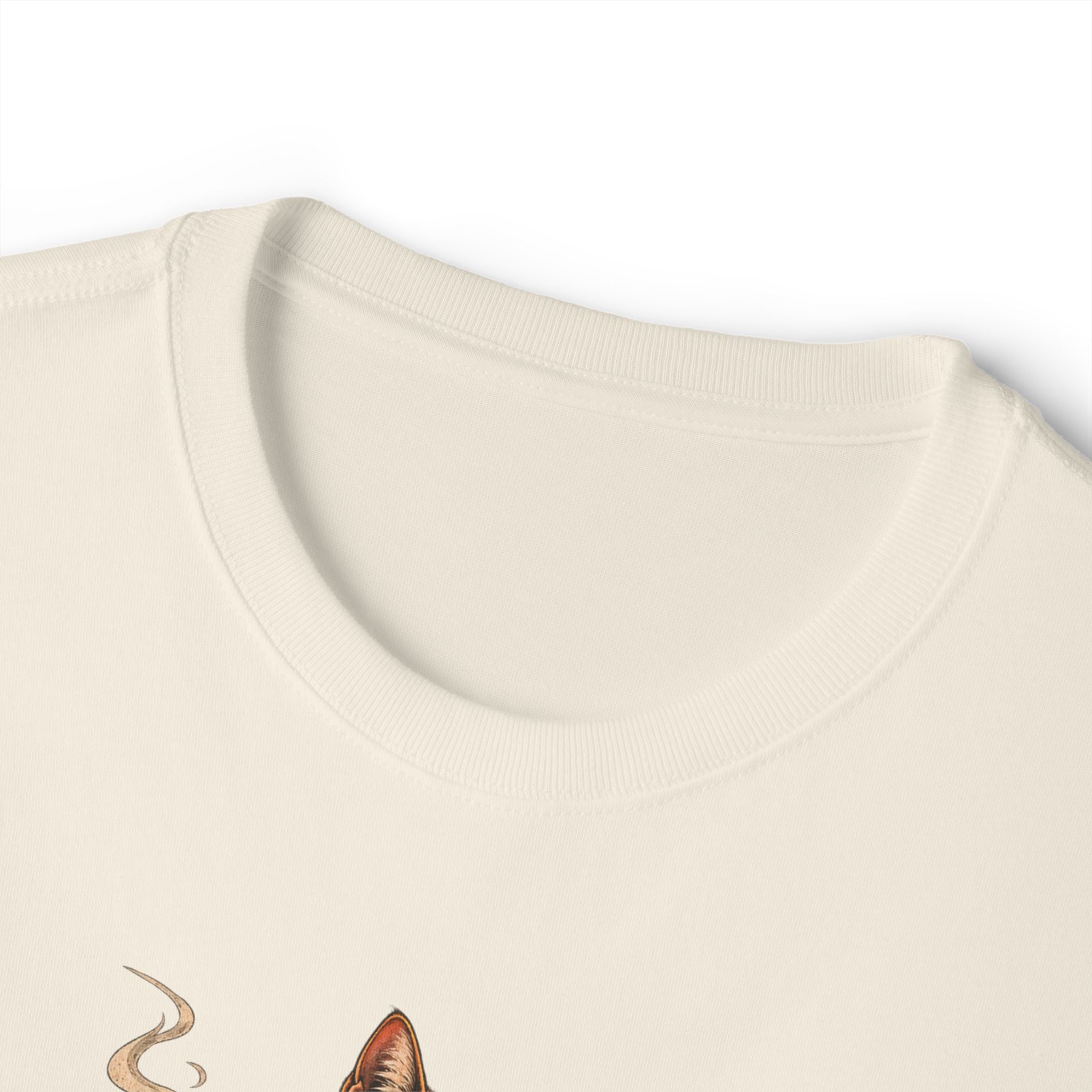 Cat Gangster Tee — Cool Cat Streetwear Oversized Boxy T‑Shirt