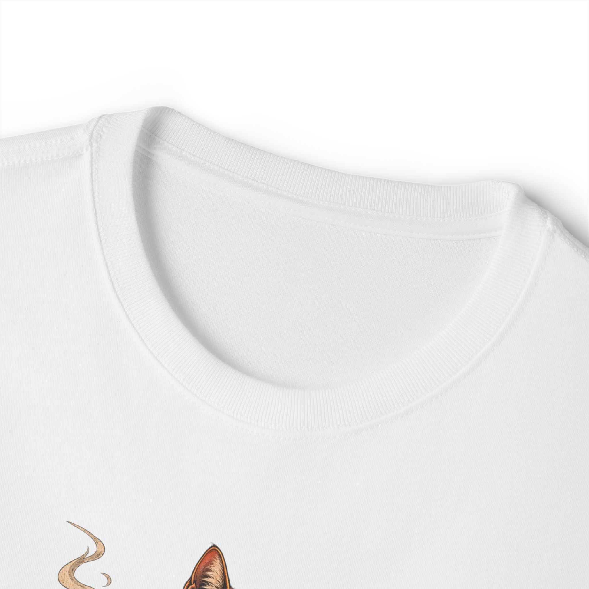 Cat Gangster Tee — Cool Cat Streetwear Oversized Boxy T‑Shirt